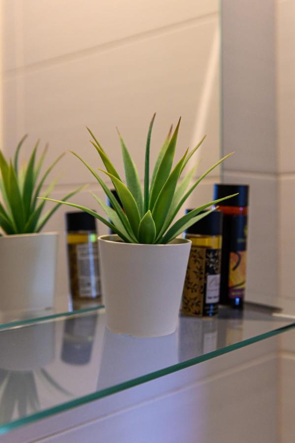 Apartment Minimal In Nature, Exostis *