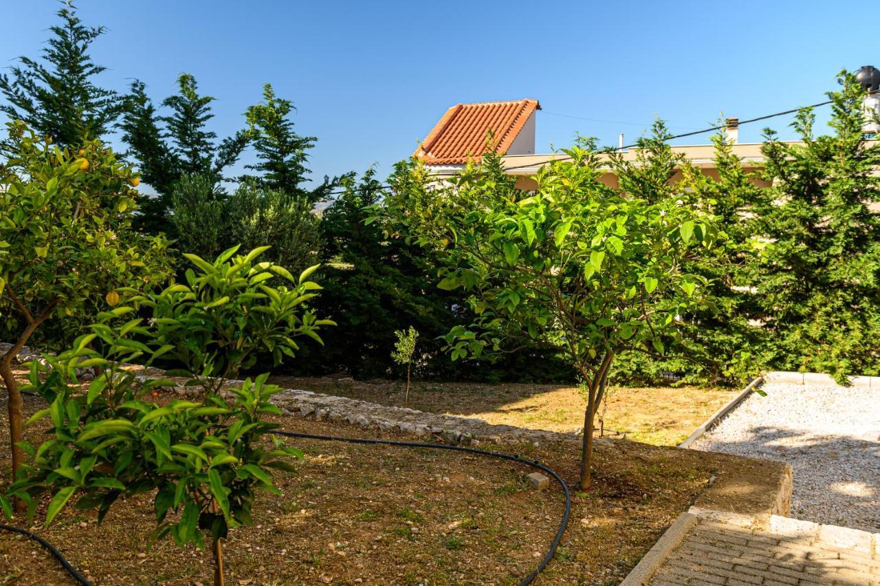 Minimal In Nature, Exostis *