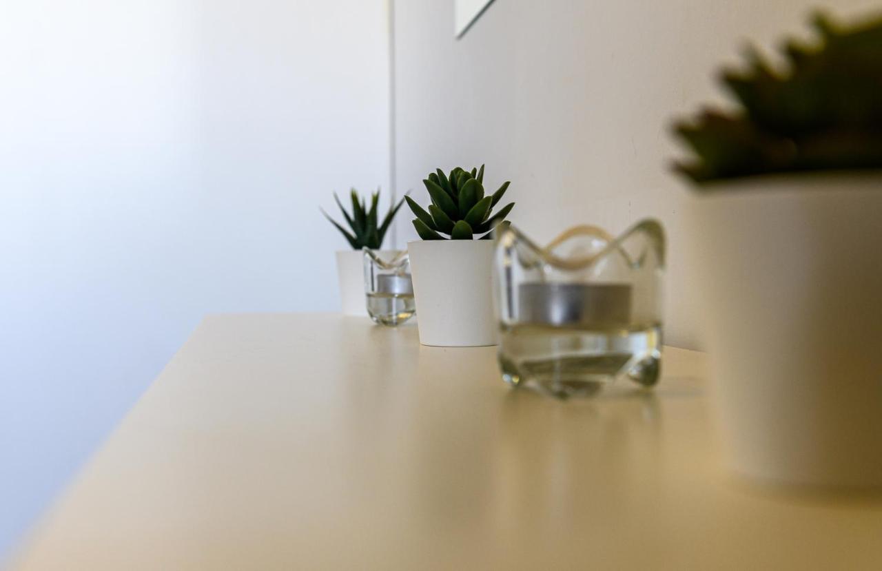 Apartment Minimal In Nature, Exostis