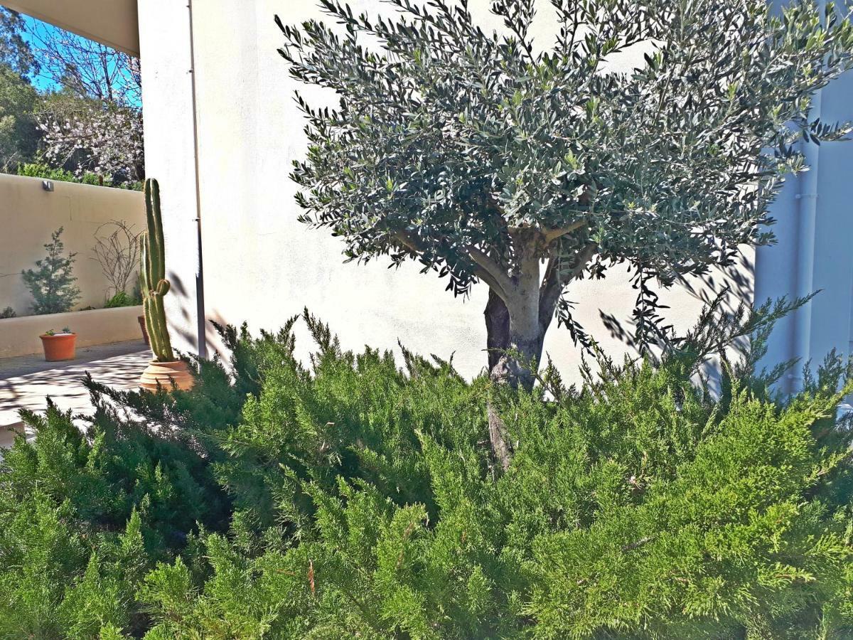 Minimal In Nature, Exostis * Nafplio