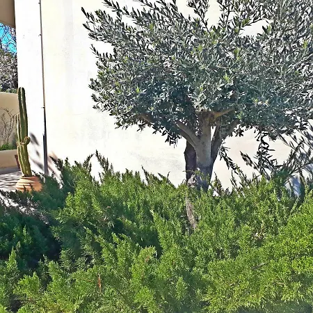 Minimal Studio In Nature, Exostis Nafplio Exterior foto
